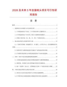 2026及未來5年連接線頭項目可行性研究報告