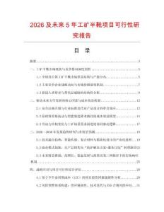 2026及未來5年工礦半靴項目可行性研究報告