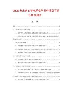 2026及未來5年電爐供氣元件項(xiàng)目可行性研究報告