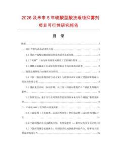 2026及未來5年硫酸型酸洗緩蝕抑霧劑項目可行性研究報告