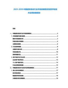 2025-2030中國虛擬培訓行業市場發展現狀投資評估技術應用發展規劃
