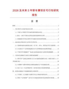 2026及未來5年轎車罩項目可行性研究報告