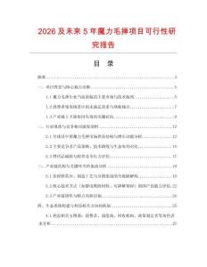 2026及未來5年魔力毛撣項目可行性研究報告