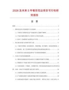 2026及未來5年錐形花邊項目可行性研究報告