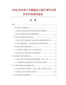 2026及未來5年膜盒壓力指示調節儀項目可行性研究報告