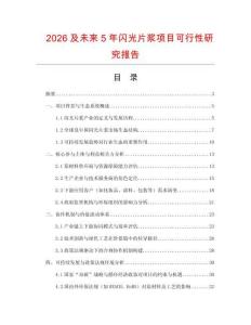 2026及未來5年閃光片漿項(xiàng)目可行性研究報(bào)告