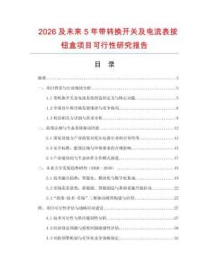 2026及未來5年帶轉換開關及電流表按鈕盒項目可行性研究報告