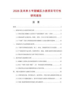 2026及未來5年耐堿壓力表項目可行性研究報告