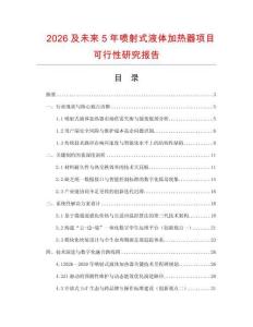 2026及未來5年噴射式液體加熱器項(xiàng)目可行性研究報告