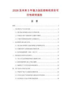 2026及未來5年強力加壓密練機項目可行性研究報告
