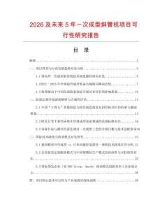 2026及未來5年一次成型斜管機項目可行性研究報告