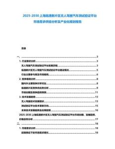 2025-2030上海臨港新片區無人駕駛汽車測試驗證平臺市場需求供給分析及產業化規劃報告