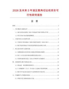2026及未來5年液壓剪角切邊機項目可行性研究報告