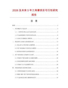 2026及未來5年三角罩項目可行性研究報告