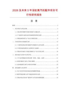 2026及未來5年浴缸蒸汽機(jī)配件項(xiàng)目可行性研究報告
