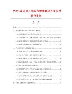 2026及未來5年電氣絕緣靴項目可行性研究報告