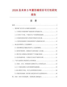 2026及未來(lái)5年菱形綢項(xiàng)目可行性研究報(bào)告