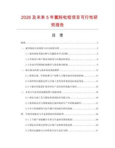 2026及未來5年氯羥吡啶項目可行性研究報告