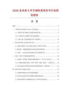 2026及未來5年手刺防具項目可行性研究報告