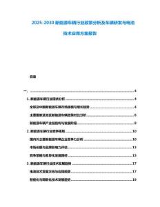2025-2030新能源車輛行業(yè)政策分析及車輛研發(fā)與電池技術(shù)應(yīng)用方案報(bào)告
