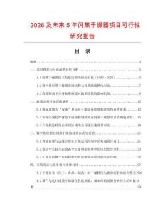 2026及未來5年閃蒸干燥器項(xiàng)目可行性研究報(bào)告