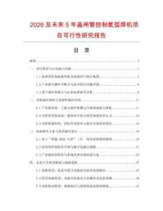 2026及未來(lái)5年晶閘管控制氬弧焊機(jī)項(xiàng)目可行性研究報(bào)告