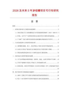 2026及未来5年渗铝罐项目可行性研究报告