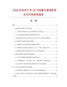 2026及未來5年30萬噸超大型油輪項目可行性研究報告