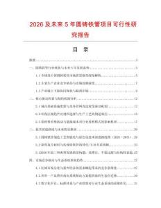 2026及未來5年圓鑄鐵管項目可行性研究報告