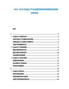 2025-2030石油化工產業當前供需布局突破資金評估規劃專業冊