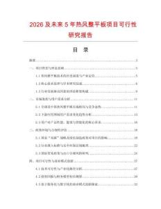 2026及未來(lái)5年熱風(fēng)整平板項(xiàng)目可行性研究報(bào)告
