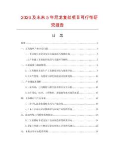2026及未來5年尼龍復絲項目可行性研究報告