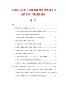 2026及未來5年模擬蒸餾專用色譜工作站項目可行性研究報告