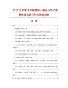 2026及未來5年銅芯防火耐溫500℃控制電纜項目可行性研究報告