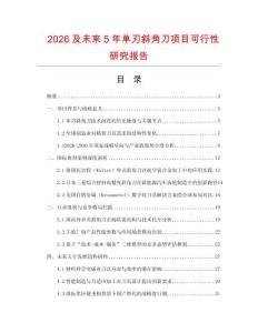 2026及未來5年單刃斜角刀項(xiàng)目可行性研究報告