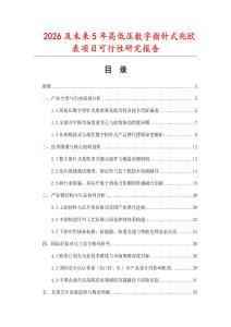 2026及未來(lái)5年高低壓數(shù)字指針式兆歐表項(xiàng)目可行性研究報(bào)告