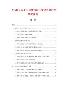 2026及未來5年鑄鐵液下泵項目可行性研究報告