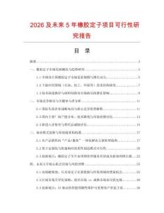 2026及未來5年橡膠定子項目可行性研究報告