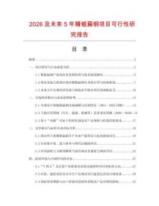 2026及未來5年精鍛扁鋼項目可行性研究報告