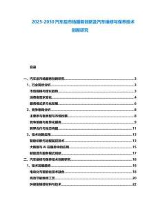 2025-2030汽車后市場服務創新及汽車維修與保養技術創新研究