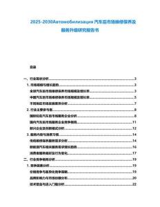 2025-2030Автомобилизация汽車后市場維修保養及服務升級研究報告書