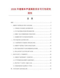 2026年鍍鎳單聲道黑膠項目可行性研究報告