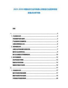 2025-2030中國光伏行業市場真心審察及行業看來和投資重點分析刊物