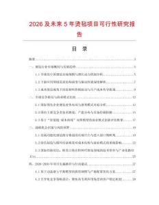 2026及未來5年燙氈項目可行性研究報告