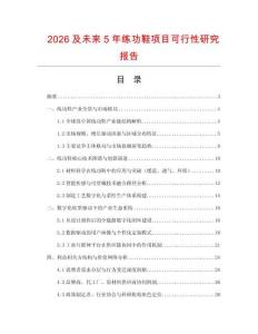 2026及未來5年練功鞋項目可行性研究報告