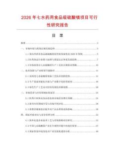 2026年七水藥用食品級(jí)硫酸鎂項(xiàng)目可行性研究報(bào)告