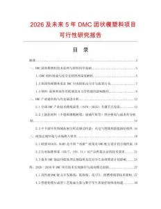2026及未來5年DMC團狀模塑料項目可行性研究報告
