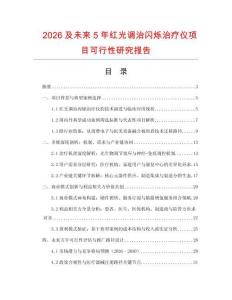 2026及未來5年紅光調治閃爍治療儀項目可行性研究報告