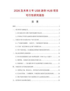2026及未來5年USB迷你HUB項目可行性研究報告