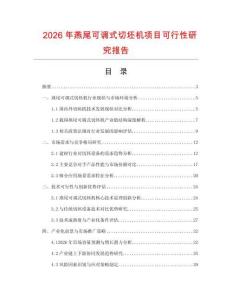 2026年燕尾可調式切坯機項目可行性研究報告